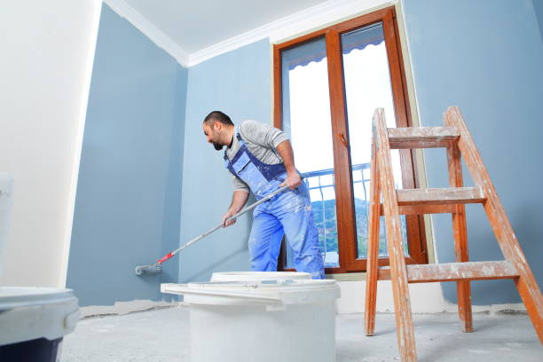 Professional Mold Removal in Bogalusa, LA