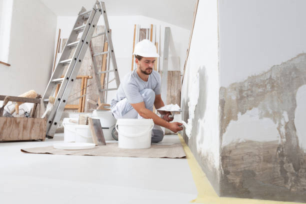 Best Mold Removal for HVAC Installations  in Bogalusa, LA