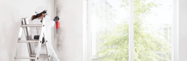 Best Mold Prevention Services  in Bogalusa, LA
