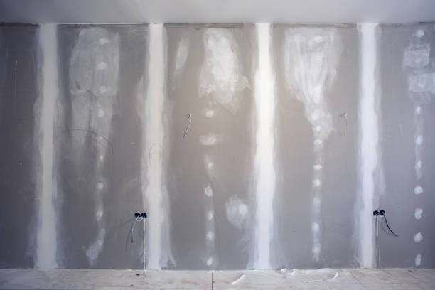 Best Residential Mold Inspection & Testing  in Bogalusa, LA